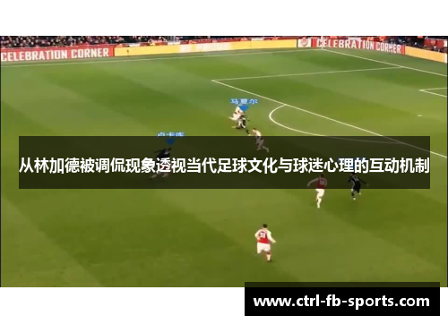 从林加德被调侃现象透视当代足球文化与球迷心理的互动机制