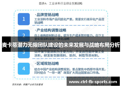 麦卡蒂潜力无限团队建设的未来发展与战略布局分析